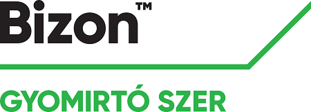 bizon