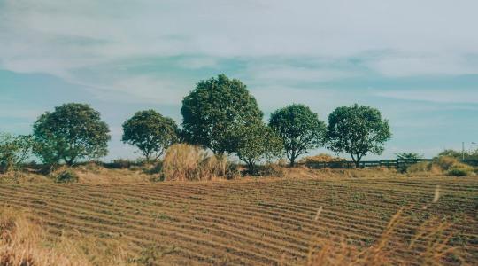 Több millió eurós támogatási csalás – súlyos visszaélések az agrártámogatásokkal