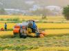 Megrekedhet a japán-amerikai agráralku: Tokió visszautasítja a rizsre vonatkozó követeléseket