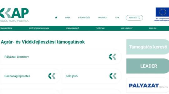 Vétek lenne nem lehajolni ezekért a pénzekért, mutatjuk az őszi pályázatokat Vétek lenne nem lehajolni ezekért a pénzekért, mutatjuk az őszi pályázatokat
