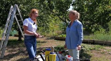 A nyár végén még sokat tehetsz a 2026-os kajszi termésért! A nyár végén még sokat tehetsz a 2026-os kajszi termésért!