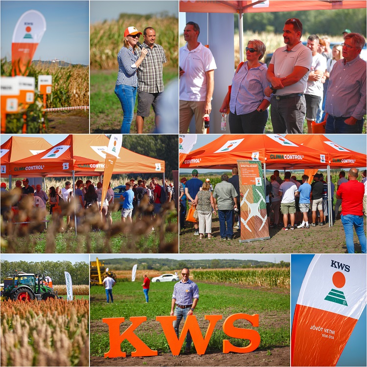 kws