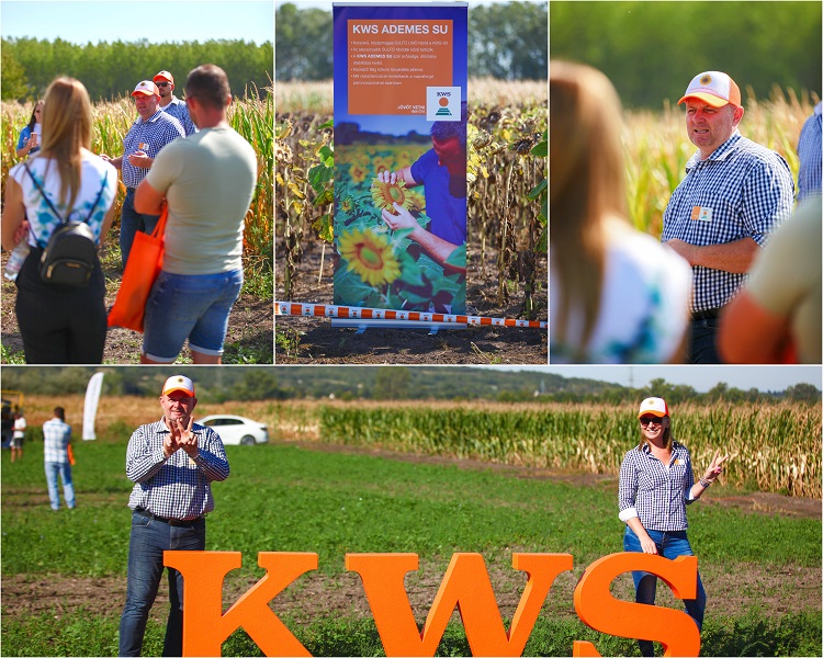 kws