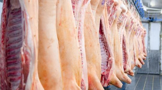 Félsertés kisokos: vásárlástól a feldolgozásig Félsertés kisokos: vásárlástól a feldolgozásig