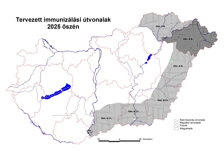 róka