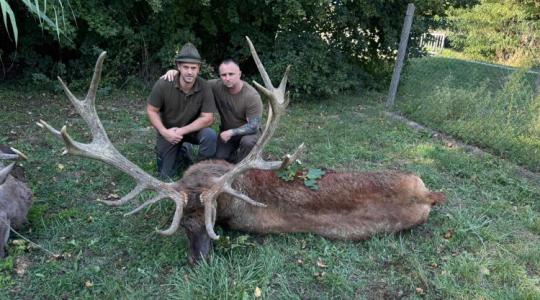 Trófearekord közelében: 12 kilós bikát lőtt egy osztrák vadász