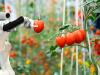 Vetéstől a vertikális farmig – így alakítja át a technológia az agráriumot