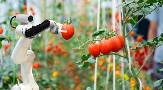 Vetéstől a vertikális farmig – így alakítja át a technológia az agráriumot