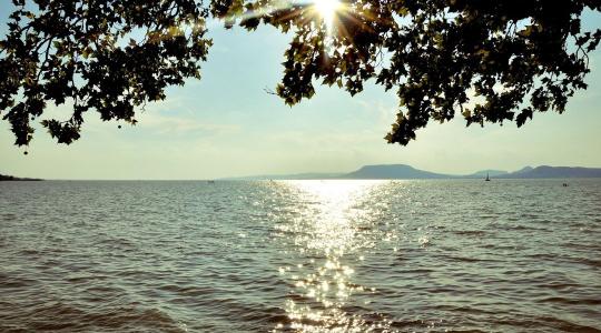 Árvaszúnyogok, algák, invazív fajok – Mitől szenved és hogyan gyógyulhat a Balaton?