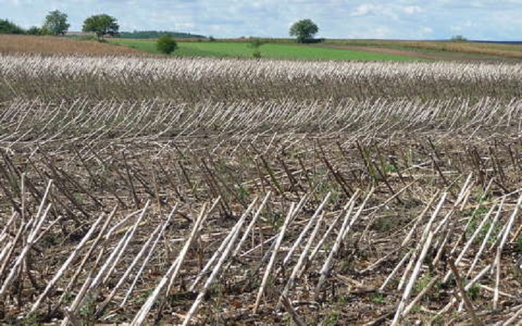 agro.bio