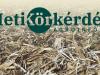Két kérdés a szárbontókról – Heti Körkérdés