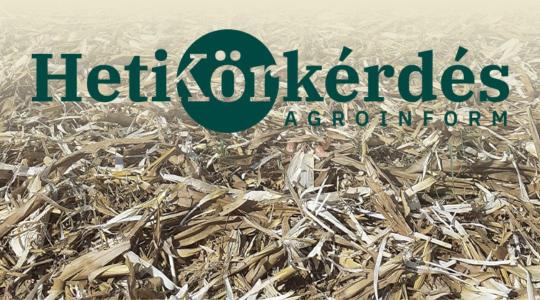 Két kérdés a szárbontókról – Heti Körkérdés