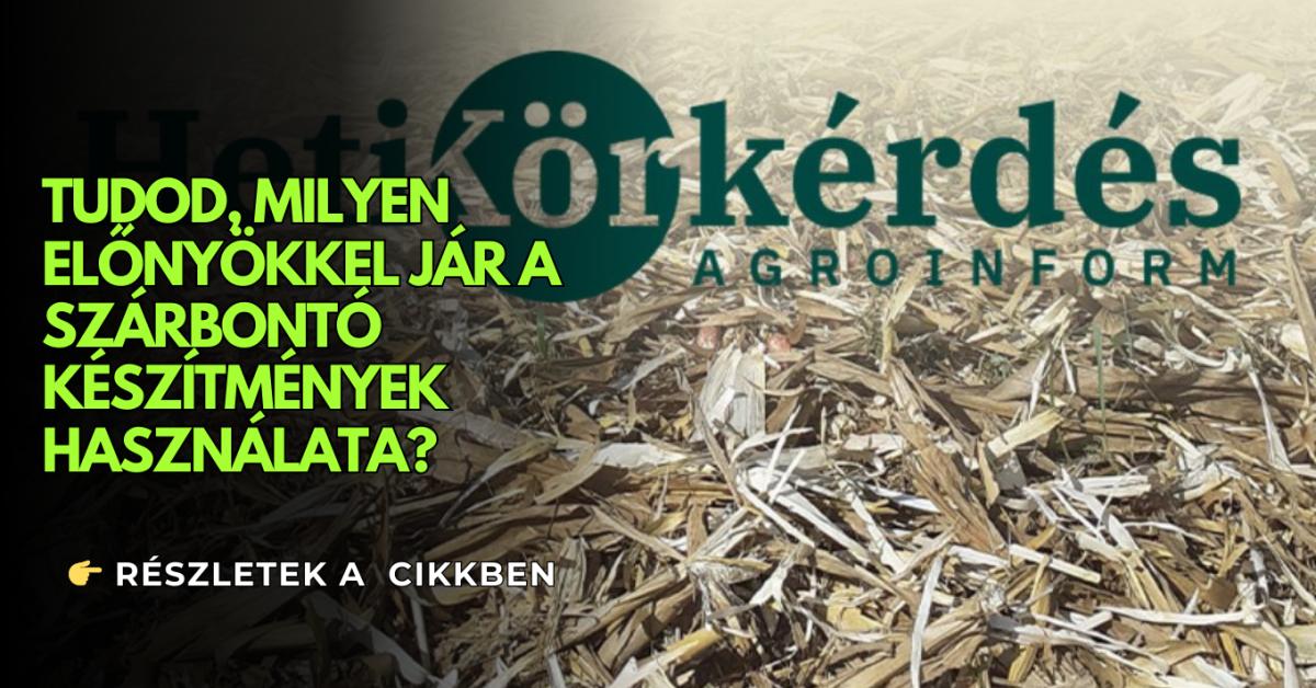 Két fontos kérdés a szárbontókról – Heti Körkérdés