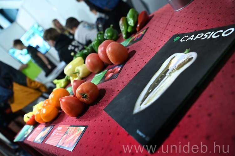 öko expo
