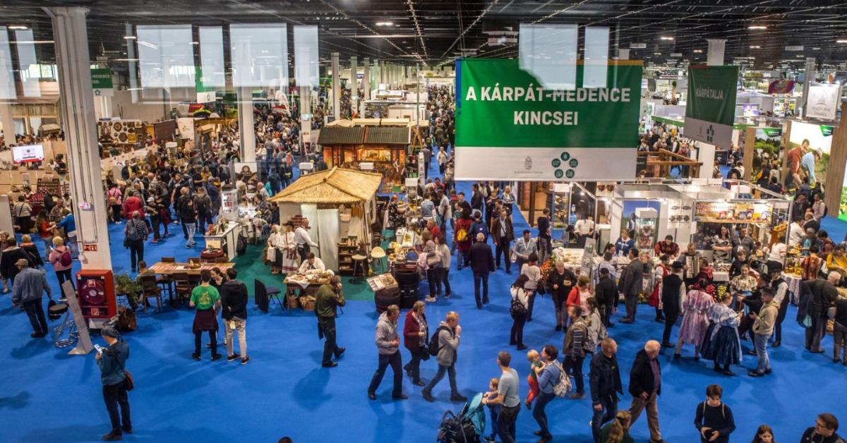 OMÉK 2025: élmények minden generációnak a Hungexpón
