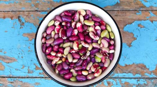 Ismerd meg a bab termesztésének legfontosabb lépéseit!