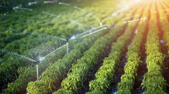 Az öntözés szerepe és lehetőségei a modern mezőgazdaságban