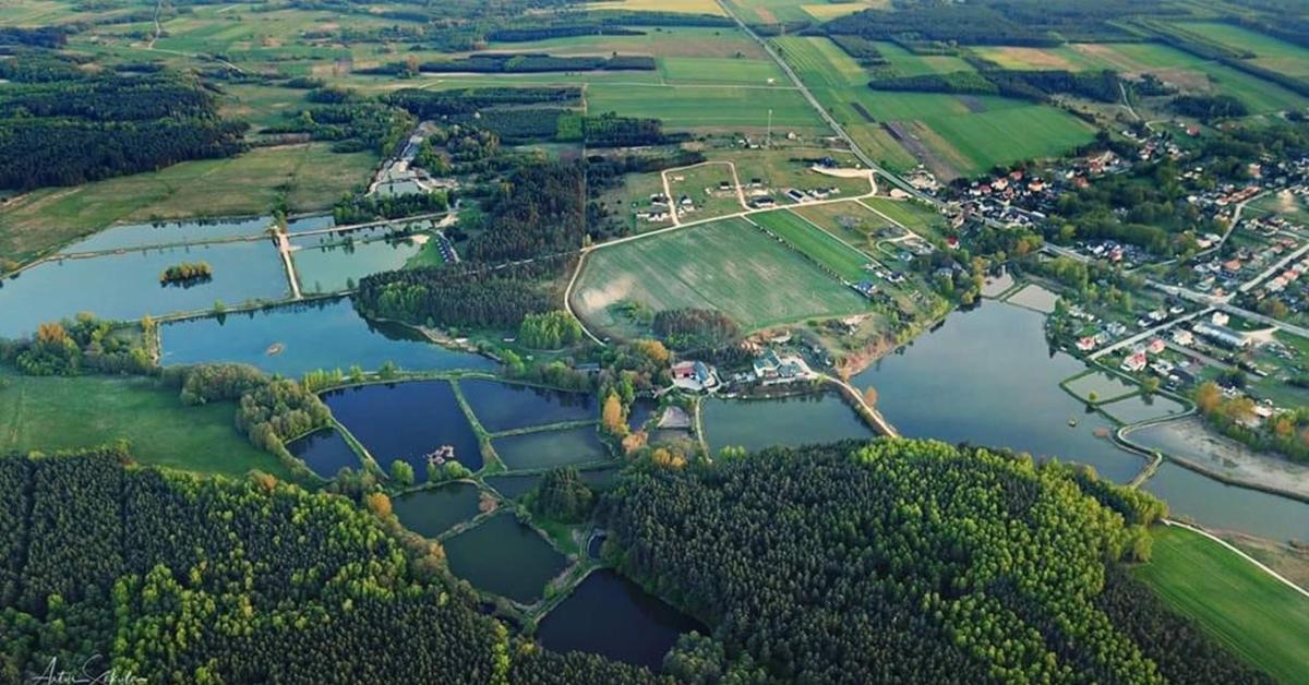 A több lábon állás nem üres szöveg