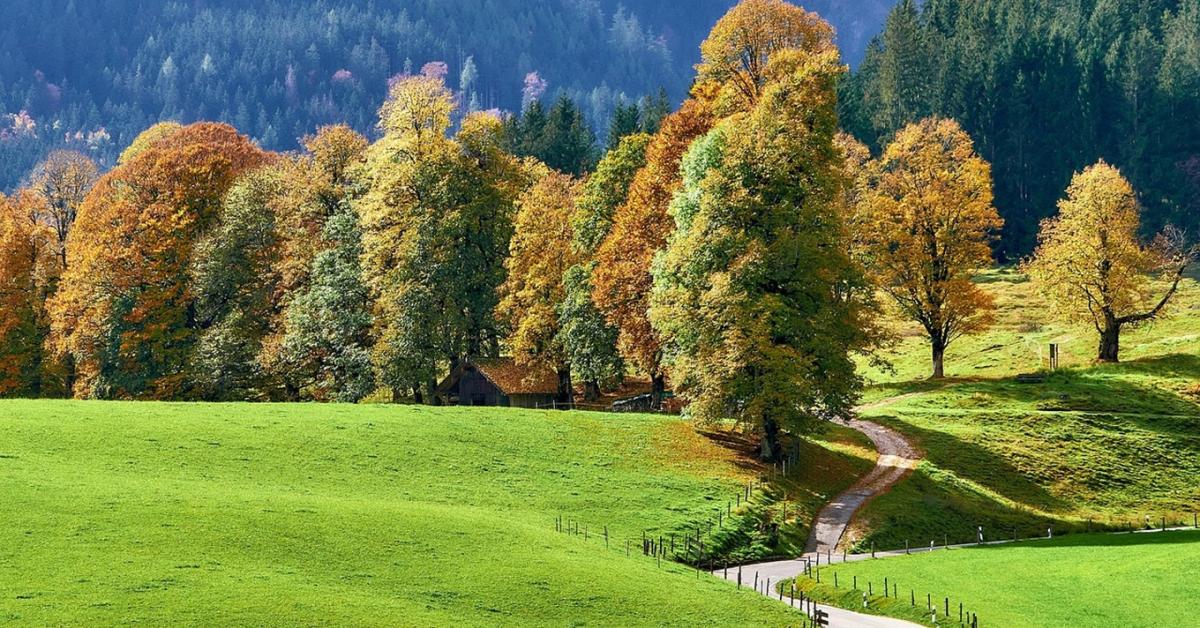 Két országrész, két évszak: így alakul a hét időjárása Két országrész, két évszak: így alakul a hét időjárása