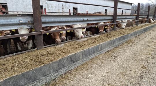 UBM nagybevásárlás: magyar kézbe került az Agrifirm hazai leányvállalata