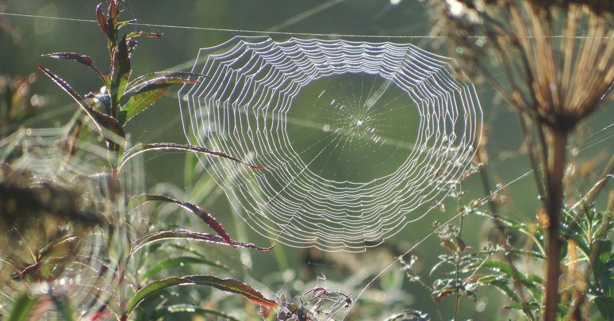 Afrikából fúj a szél a hétvégén Afrikából fúj a szél a hétvégén
