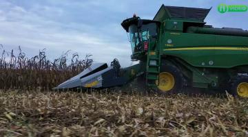 Rekord a világban, gond itthon Rekord a világban, gond itthon