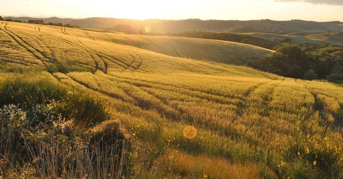 Időjárás: Brutális a hőingás, de minden adott a kinti munkához +VIDEÓ Időjárás: Brutális a hőingás, de minden adott a kinti munkához +VIDEÓ