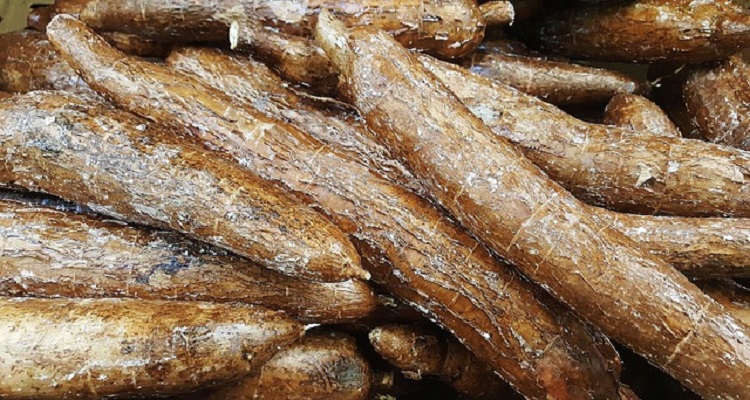 mérgező