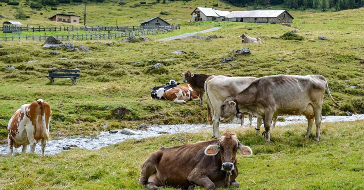 Forrásszerzés pályázattal: akarni neked kell, de ingyen segítenek megírni