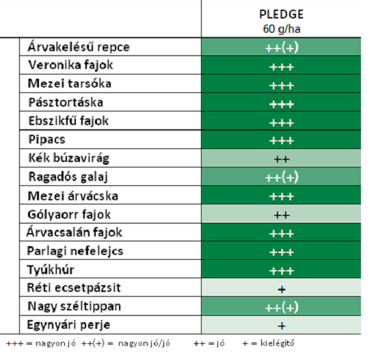 körkérdés