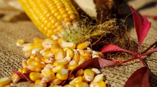 Tízezrek vonulnak utcára, a francia gazdák is besokalltak