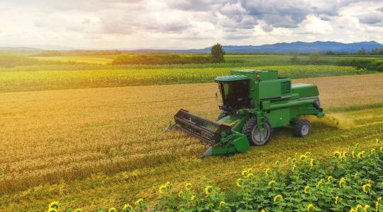 Borúlátó a hangulat az agráriumban: újra csökkent a bizalmi index