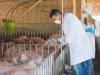 Mi történik, ha nem hat többé az antibiotikum?