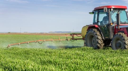 Növényvédelem: a hatékony védekezés kulcsa a modern mezőgazdaságban