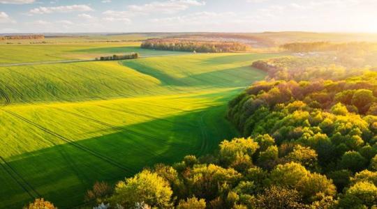 Aranykorona-érték: mit jelent, és miért fontos a földforgalomban?