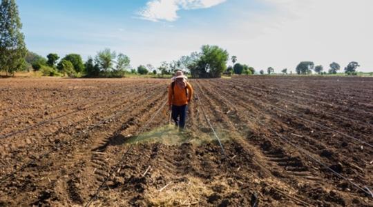 A gyomirtás korszerű módszerei és kihívásai a modern mezőgazdaságban