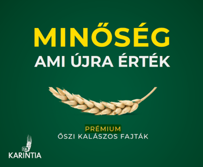 Karintia prémium búza