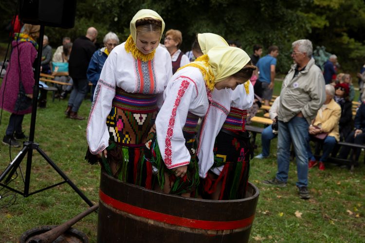 Kadarka