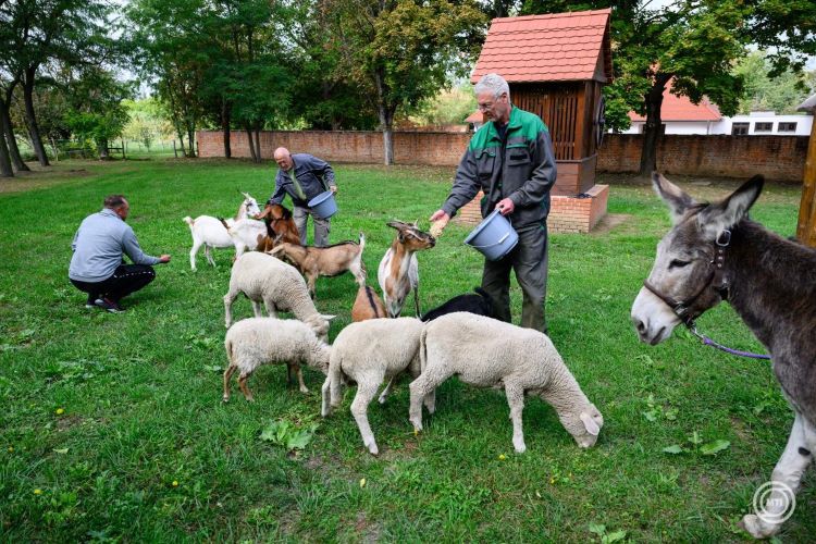 Szántódpuszta