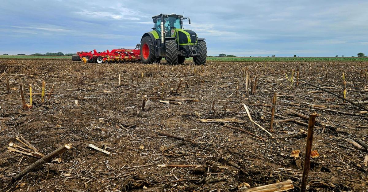 Időjárás: Pára, köd, csípős hajnal, ez vár ránk a héten +VIDEÓ Időjárás: Pára, köd, csípős hajnal, ez vár ránk a héten +VIDEÓ