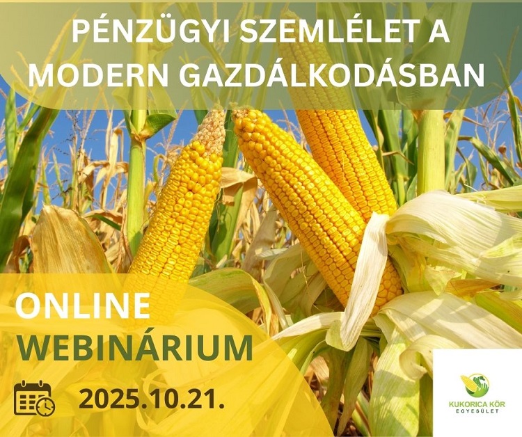 webinárium