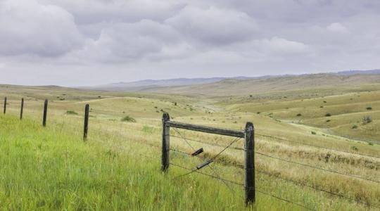 Gazdák, itt a lehetőség: legelők, szántók és rétek kerülnek kalapács alá Gazdák, itt a lehetőség: legelők, szántók és rétek kerülnek kalapács alá