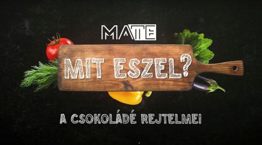 Miért nem mindegy, hogy csokit vagy kakaós masszát eszünk? Miért nem mindegy, hogy csokit vagy kakaós masszát eszünk?