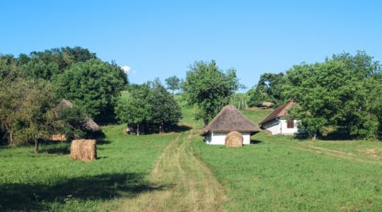 Jól megfér a zsuptető alatt az influenszer és a sártapasztó melós Jól megfér a zsuptető alatt az influenszer és a sártapasztó melós