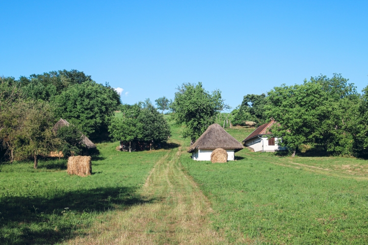 Oszkói szőlőhegy