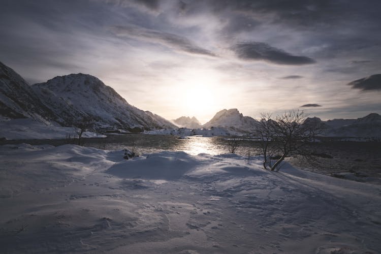 föld