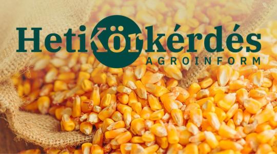 Hogyan védjük meg a betárolt terményünket? – Heti Körkérdés
