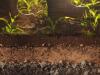 Talaj a talpad alatt Agroinform webinárium