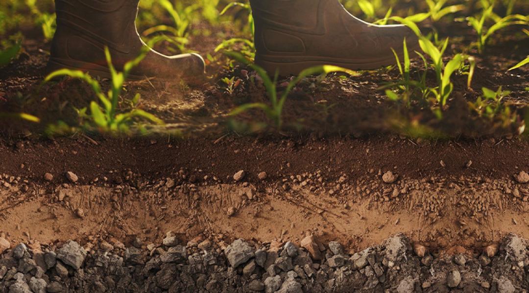 Talaj a talpad alatt Agroinform webinárium