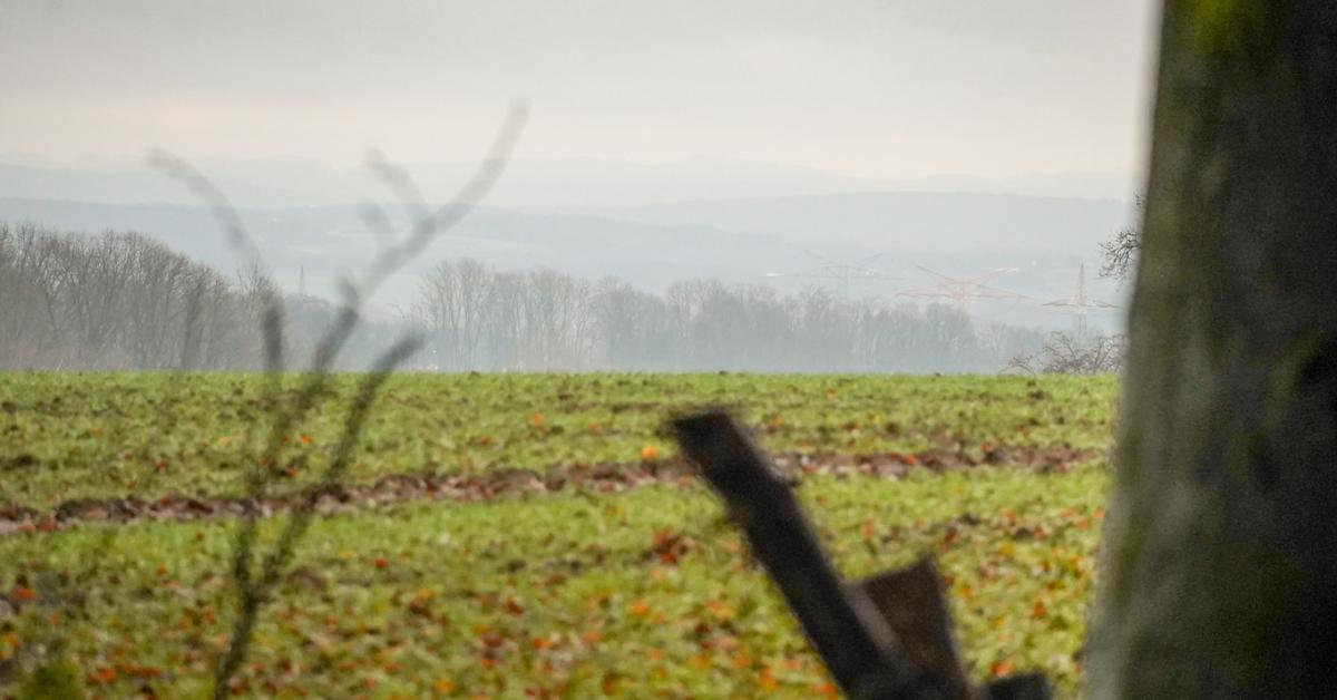 Időjárás: Nem tágít a hideg, sőt, esőt is kapunk mellé +VIDEÓ Időjárás: Nem tágít a hideg, sőt, esőt is kapunk mellé +VIDEÓ
